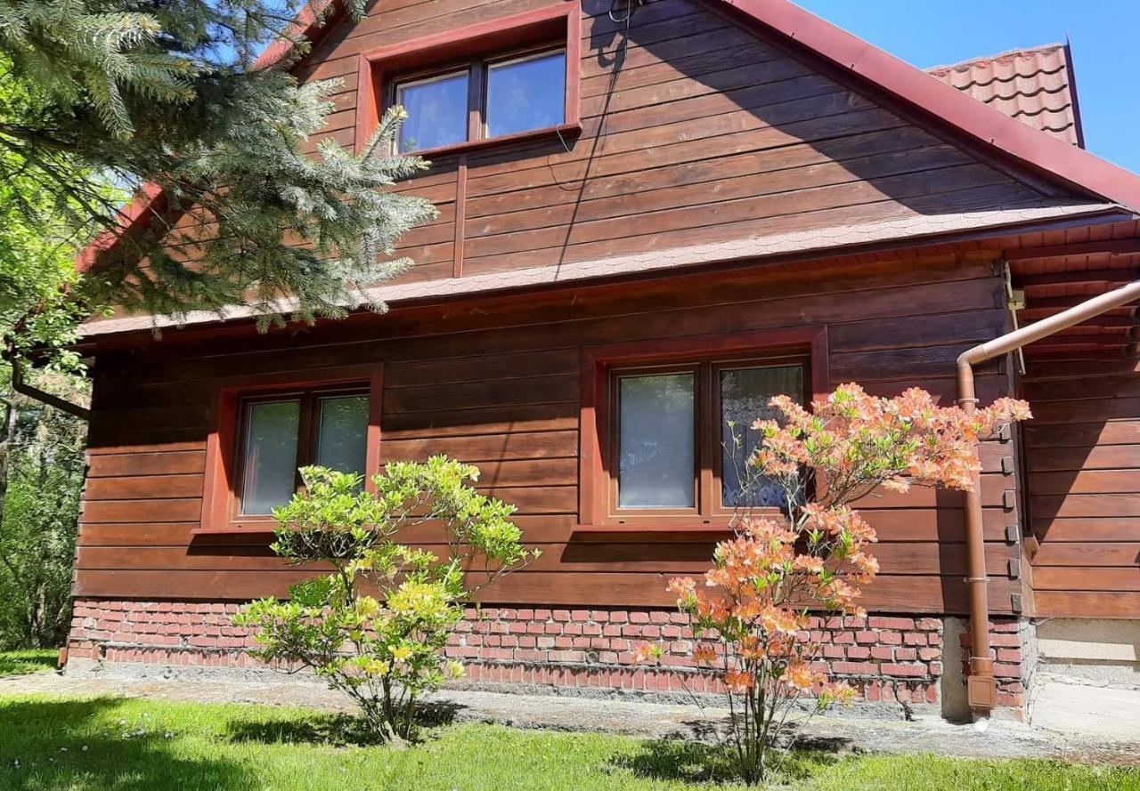 Domek Zacisze Laskowa  Екстер'єр фото